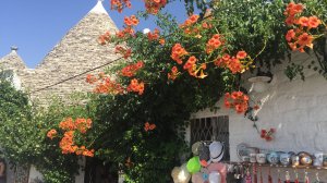 Трулло - дома