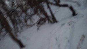 Речка Зея. Прогулка на остров. Благовещенск Амурская область