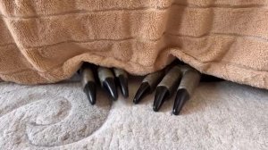 Хоинсткии пранки анука давай-ка