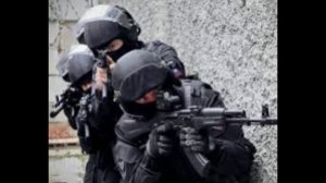 15 ноября - День создания подразделений по борьбе с организованной преступностью в России