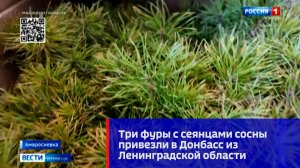Три фуры с сеянцами сосны обыкновенной привезли в Донбасс из Ленинградской области