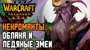Некроманты, Облака и Ледяные Змеи: Hazy (Ud) vs Cash (Ne) Warcraft 3 Reforged