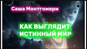 Саша Монтгомери. Как выглядит реальная вселенная. | В МОМЕНТЕ
