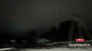 Утютю 🤗пупсики мои резвятся всю дорогу 🥰🫶люблю их 💗💗💗