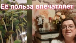 Микрозелень. Топ-8 самых полезных для женщин. Посев