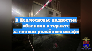 В Подмосковье подростка обвинили в теракте за поджог релейного шкафа