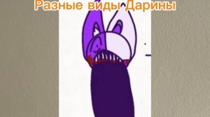 Разные виды Дарины
