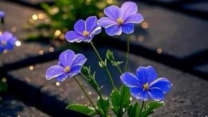 добрый вечер пятницы и хороших