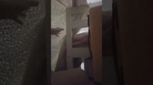 3-4 часа в комнате 2-часть