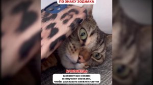 #смешныевидео -198