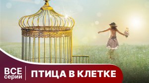 Птица в клетке. Все серии с 1 по 4. Мелодрама. Смотреть онлайн