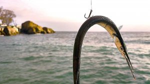 Нашли Саргана. Спонтанная морская рыбалка в АЛупке.  Ловля Селедки на Пилькер в Море с Лодки