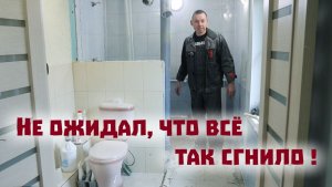 Про горы кроличьего золота, поросят - путешественников и гниющий дом в городе!