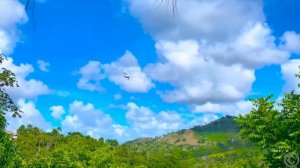 Настя видит сон о путешествии мечты