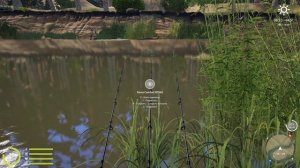 РР4 Вьюнок. Универсальная точка.