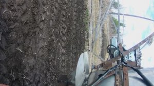 Разбрасыватель. Разбрасыватель удобрений, семян самодельный. Пробую сеять суданку на дачном участке