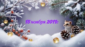 Новое поступление 15-11-2025