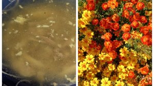 Холодец из полуфабрикатов и огородные дела.