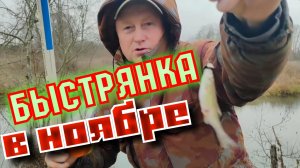 Живец на Щуку