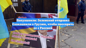 Папуашвили: Зеленский отправил Саакашвили в Грузию, чтобы поссорить ее с Россией