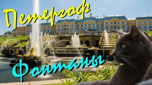 Петергоф 2025: фонтаны, парк, цены, экскурсия. Нижний парк, Самсон, Большой каскад, билеты
