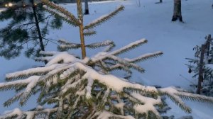 Здравствуй, зима!