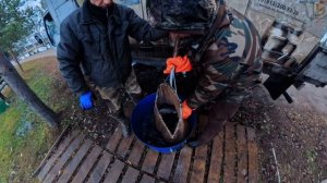 Привоз новой партии форели