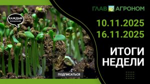 Итоги недели с ГлавАгроном. 10.11.2025 - 16.11.2025