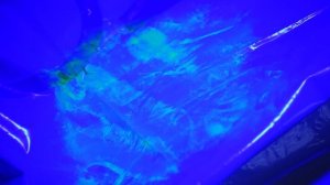 видеопроект ко Дню полиции с участием «полицейских классов»