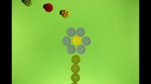 божьи коровки