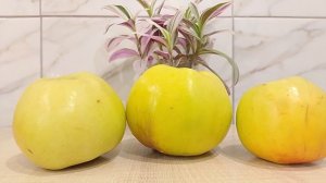 Нашла что смотреть. Страничка надежды