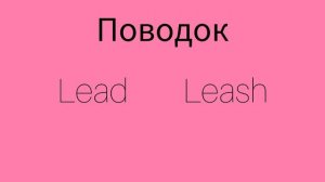 Как же будет по английски ПОВОДОК?
