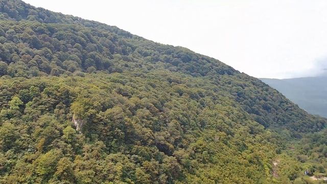 Каманы Абхазия