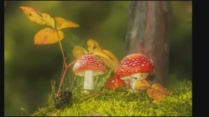 Пейзаж. Аполлон Майков.