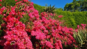 Большое путешествие #ЮАР. Винная дорога, день 5