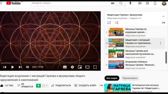 Гаряев-Матрицы.РФ__Инструкция эффективного и безопасного использования универсальных матриц. Как смотреть онлайн