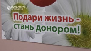 Быть донором. Егорьевские волонтёры пополнили местный банк крови