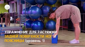 Мобилизация поясницы и задней поверхности ног