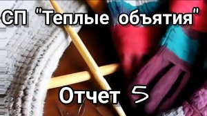 СП "Теплые объятия". Отчет 5.