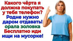 Золовка думала, что хитрая! Заплатила за мой телефон дважды!