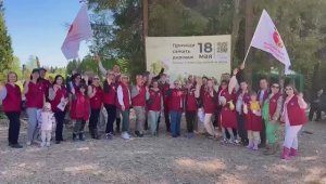 Нотариусы Подмосковья приняли участие в ежегодной акции «Лес Победы» 2024 год