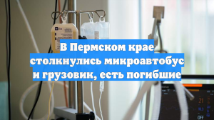 В Пермском крае столкнулись микроавтобус и грузовик, есть погибшие