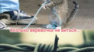 Сколько верëвочке не виться...