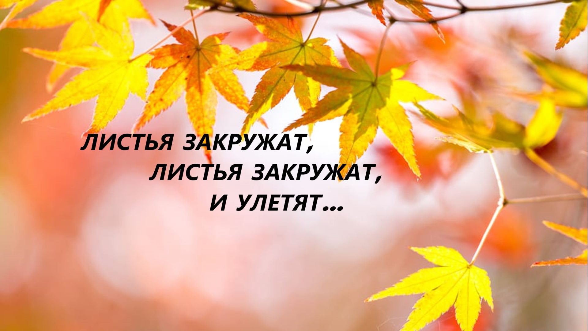 Косметичка "Осенний лист".Ручная вышивка.(ноябрь 2025г) смотреть онлайн
