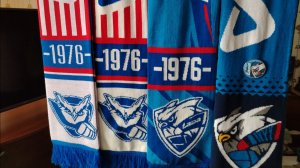 ШАРФЫ Х/К- ЛАДА