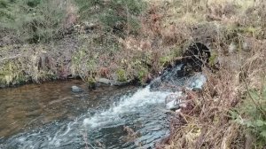 Рукотворный ручей в лесу