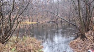 Магнитная рыбалка#Природа#Отдых#Осень#Красота#Магнит#Рыбалка#Ниочем#Неочем#Самссобой#Всемпривет