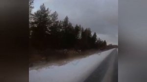 23 летняя автоледи не справилась с управлением и вылетела на встречку 24 летней, обе в реанимации