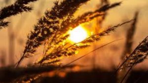 15 ноября - Акиндин и Пигасий. Народные приметы и традиции