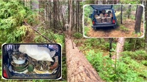 НИВА ТРУДЯГА:Валежник привёз,Чермет отвёз